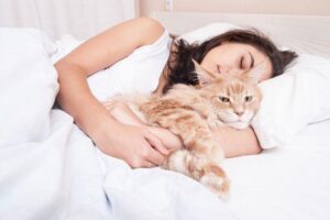 To Snuggle or Not: Bedtime Decisions for Your Feline Friend
