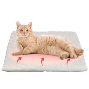 Are Heated Cat Blankets Safe?