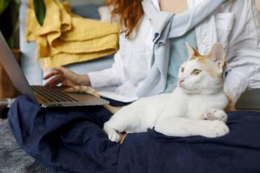 Impact of Laptop Sitting on Cat Comfort and Owner Productivity