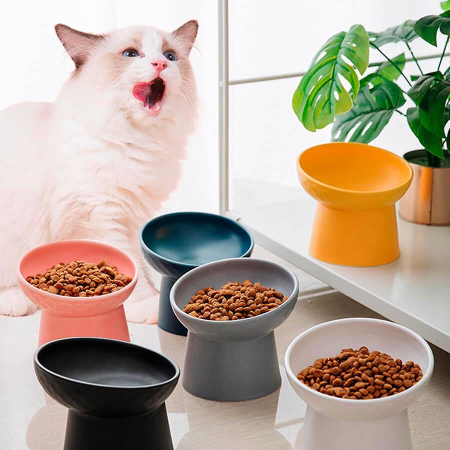 How to Choose the Right Cat Bowl