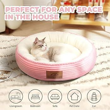 The Best Cat Beds for Small Spaces
