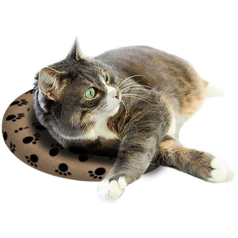 Are Heated Cat Blankets Safe?