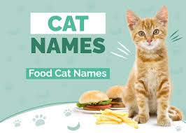 “Orange cat beside burger and fries promoting food-inspired cat names