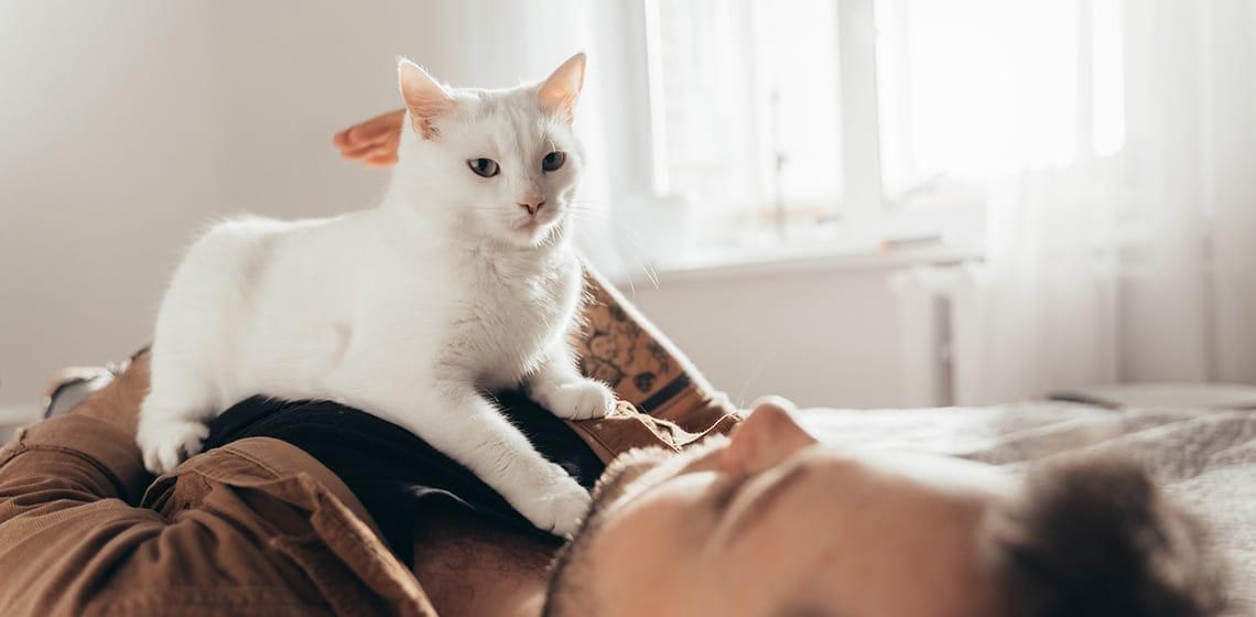 What Does It Mean When Your Cat Kneads You? (Hint: It’s Cute AND Weird)
