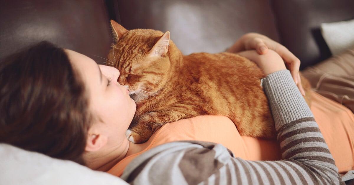 What Does It Mean When Your Cat Kneads You? (Hint: It’s Cute AND Weird)