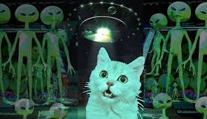 Funny cat surrounded by cartoon aliens with UFO lights, illustrating the idea that cats might secretly be aliens.
