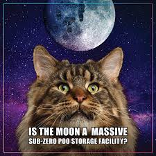 Funny cat conspiracy meme wondering if the moon is a secret alien base for cats.