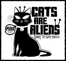 Funny cat conspiracy artwork showing a black cat with alien antennas and the phrase “Cats are aliens.”