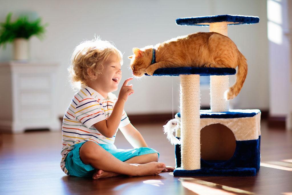 indoor vs outdoor cats – happy indoor cat playing with child on cat tree
