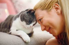 Woman and cat touching foreheads in a sweet bonding moment โ showing the catโs love language through gentle head bunts.