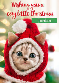 Adorable kitten wearing a red Christmas hat in front of a festive tree – cozy cat corner for Christmas theme.