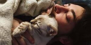 Cat snuggling close to their owner’s face – showing how cats choose their favorite human through affection and trust.
