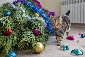 Tabby cat standing beside a fallen Christmas tree with broken ornaments – a funny example of why cats love Christmas trees.