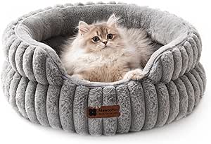 fluffy grey cat in round donut cat bed. Best cat products