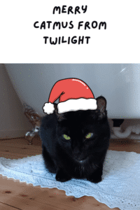 Twilight the black cat wearing a Santa hat for the Merry Catmas Christmas cat blog wrap-up on WhiskerNest.