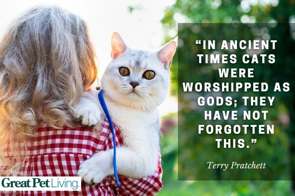 White cat being held by a woman outdoors with the quote “In ancient times cats were worshiped as gods; they have not forgotten this” by Terry Pratchett.